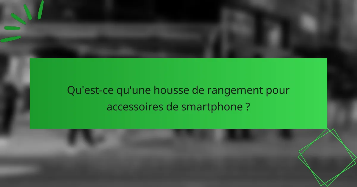 Qu'est-ce qu'une housse de rangement pour accessoires de smartphone ?
